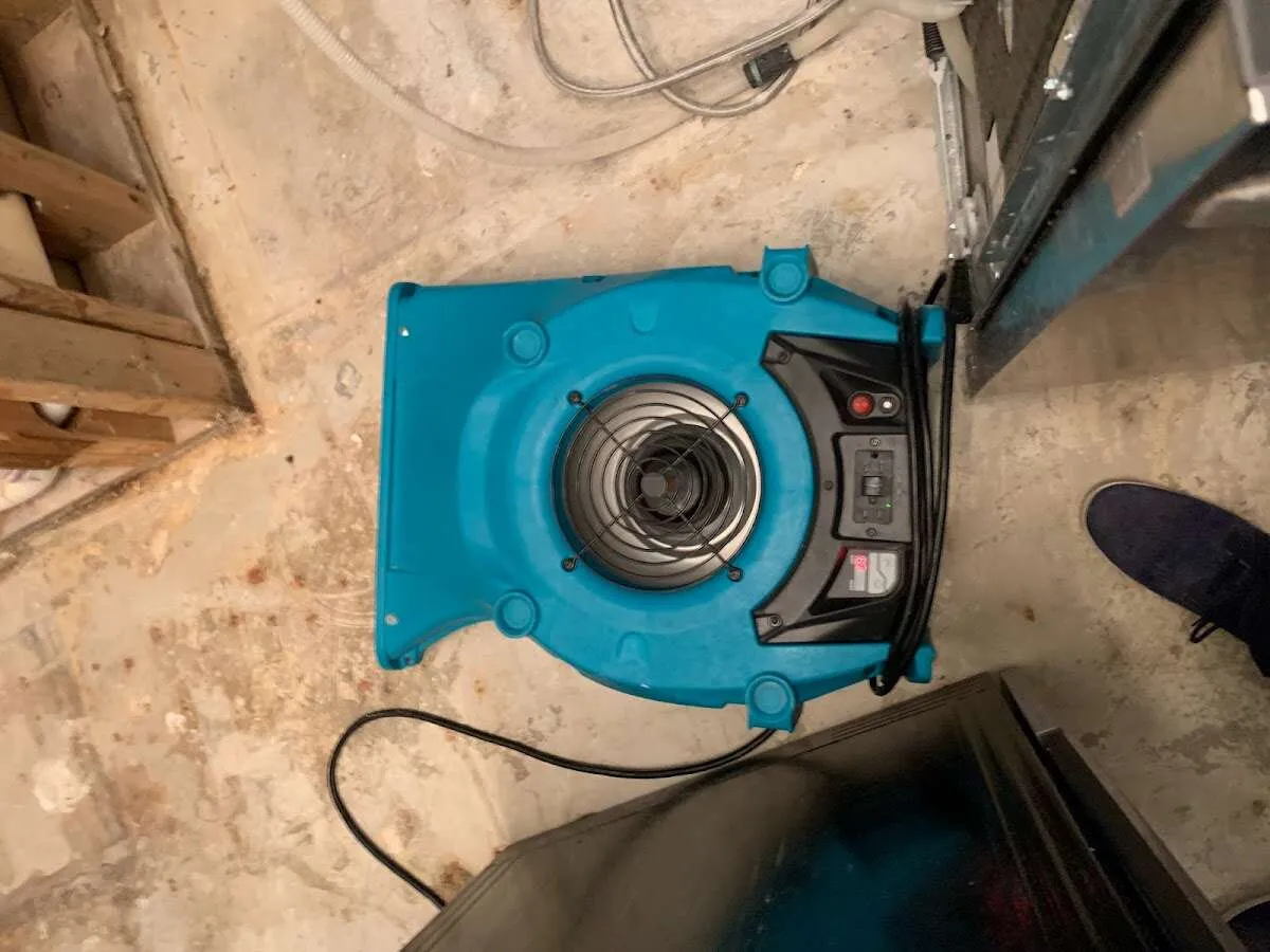 Air mover drying equipment for Mold Remediation & Removal in Ingleside