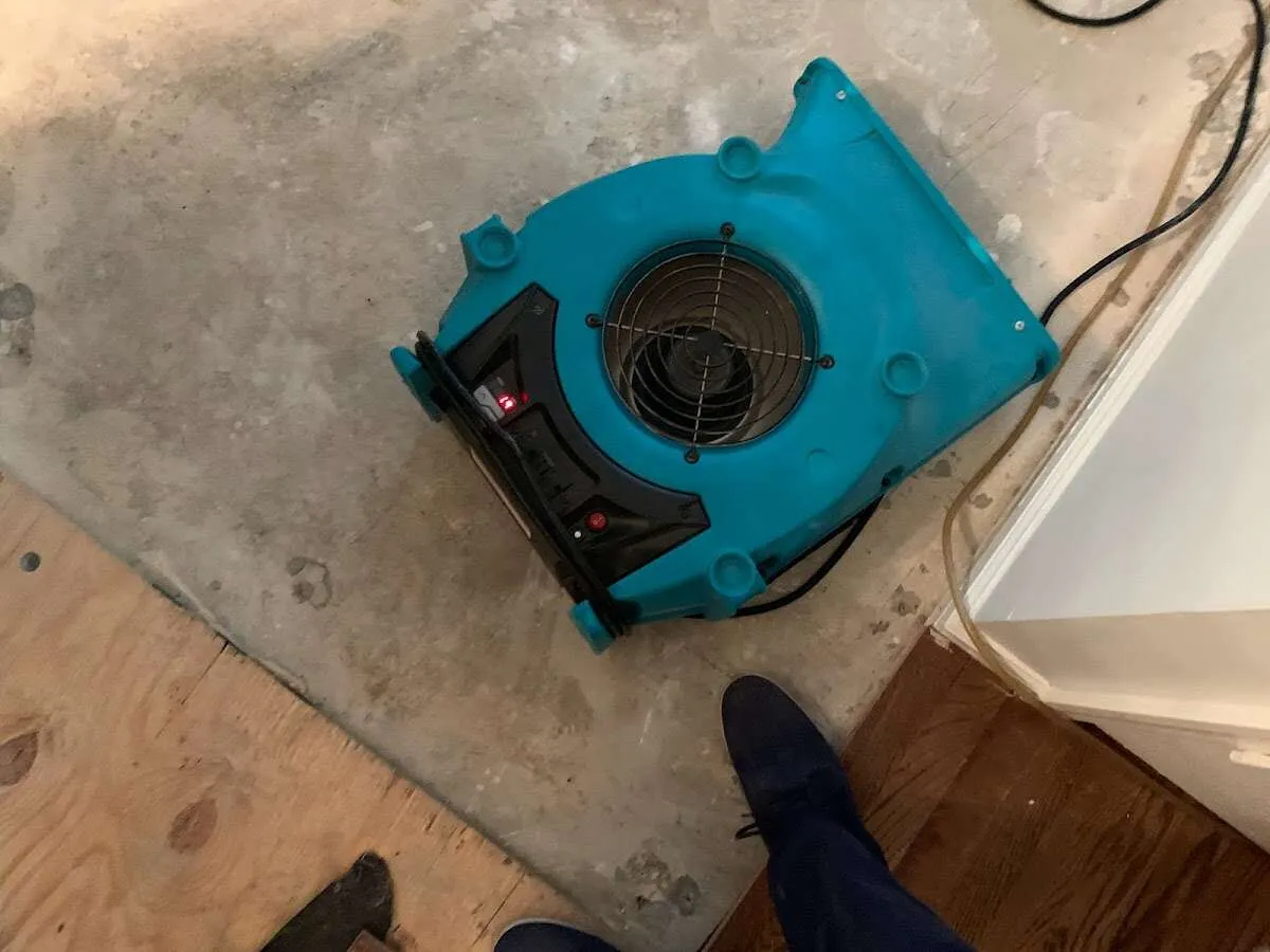 Air mover drying subfloor during Commercial Water Damage Restoration in Ingleside